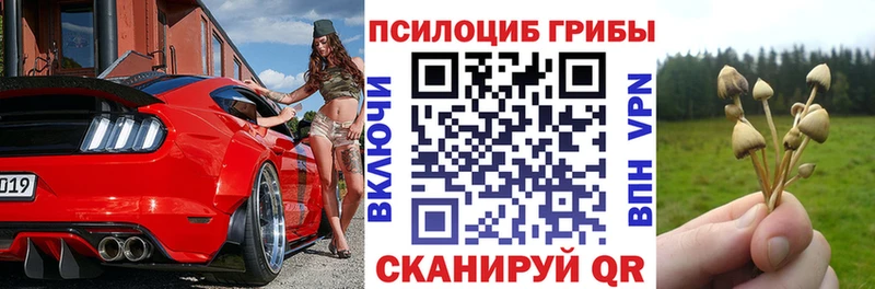 Галлюциногенные грибы ЛСД купить наркотик Сольвычегодск